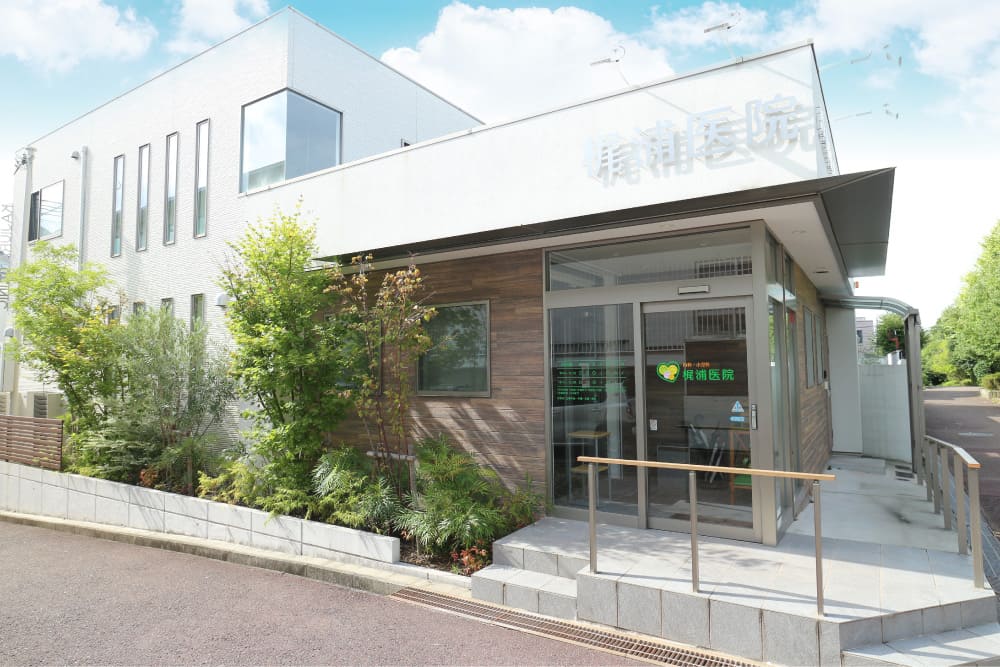 外　観